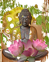 ©Ridenour_Selby Buddha and Lotus